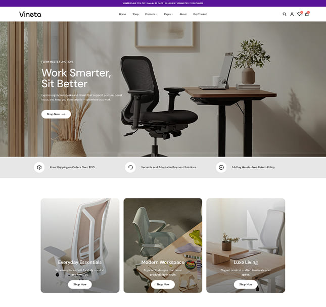 Vineta’s web development project screenshot